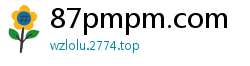 87pmpm.com